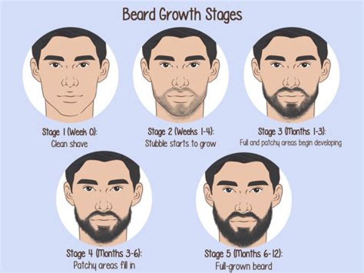 Does Aaron Judge Have a Tattoo? Beard And Hair Transformation