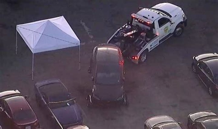 
Dog shot dead a man: Found dead in his truck in Kansas, What happened? Explained 