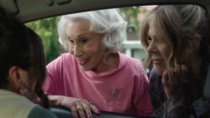 
Is Lindsey Pearlman Related To Rhea Perlman? Details To Know About The Actress’ Death 